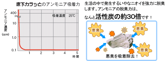 �����J���b�Ƃ̃A�����j�A�z����